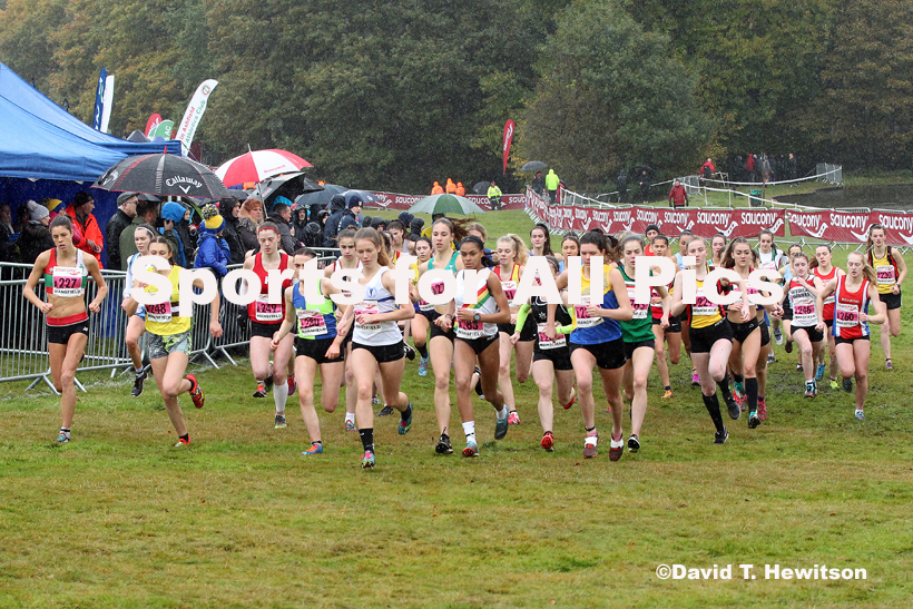 Junior women, National Cross Country Relay Champs., Berry Hill Park, Mansfield.  Photo: David T. Hewitson/Sports for All Pics